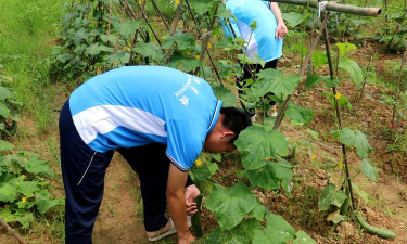 云梦县吴铺镇长辛中学