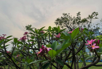 温岭市泽国湖头可爱幼儿园