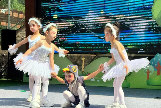 桐庐县桐庐镇小天鹅艺术幼儿园