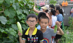 临河区实验农场小学