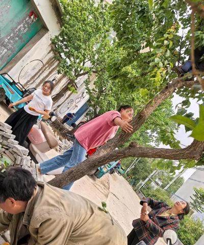 昌黎县昌黎镇杏树园完全小学