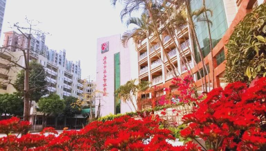 深圳市龙华中英文实验学校