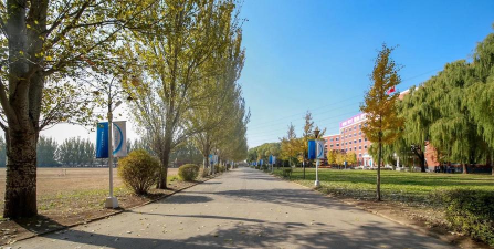 沈阳市菁华商业管理学校