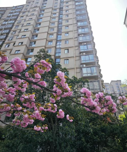 普陀区桃浦镇春光幼儿园