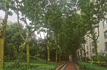 北京市昌平区回龙观镇爱果社区办园点