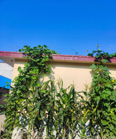 北京市昌平区北七家镇鹏程爱果社区办园点