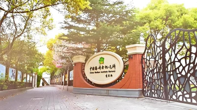 北京市昌平区梧桐树幼儿园