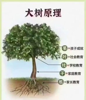 文星镇城北学校