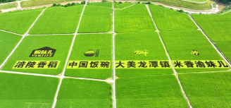 龙门县龙潭镇禾洞教学点