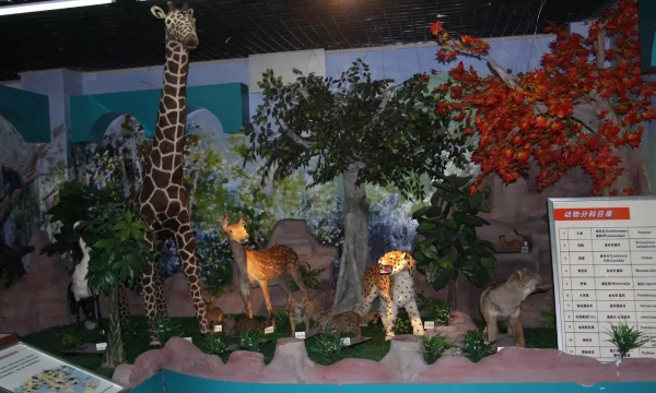 育才幼儿园(宁明)