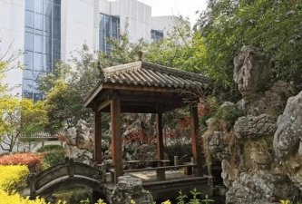 成都石室蜀都中学