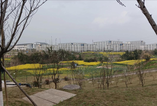 成都信息工程大学银杏酒店管理学院