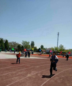 灵武市梧桐树学校