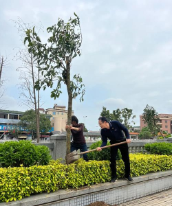 东莞万江第八小学