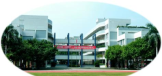 佛山市顺德区大良实验小学