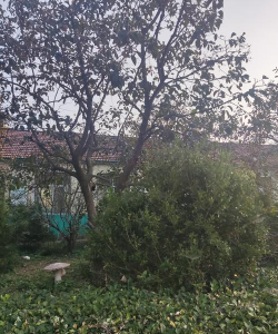 牧野区北干道小学