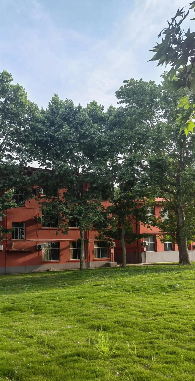 大林乡上大林学校