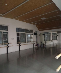 定兴县芭蕾王国文化艺术培训学校有限公司