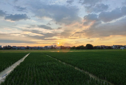 盘锦市兴隆台区阳帆教育培训中心有限公司兴隆台三工地分公司