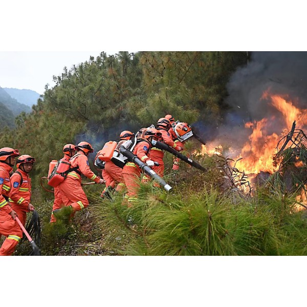 森林草原防火技术