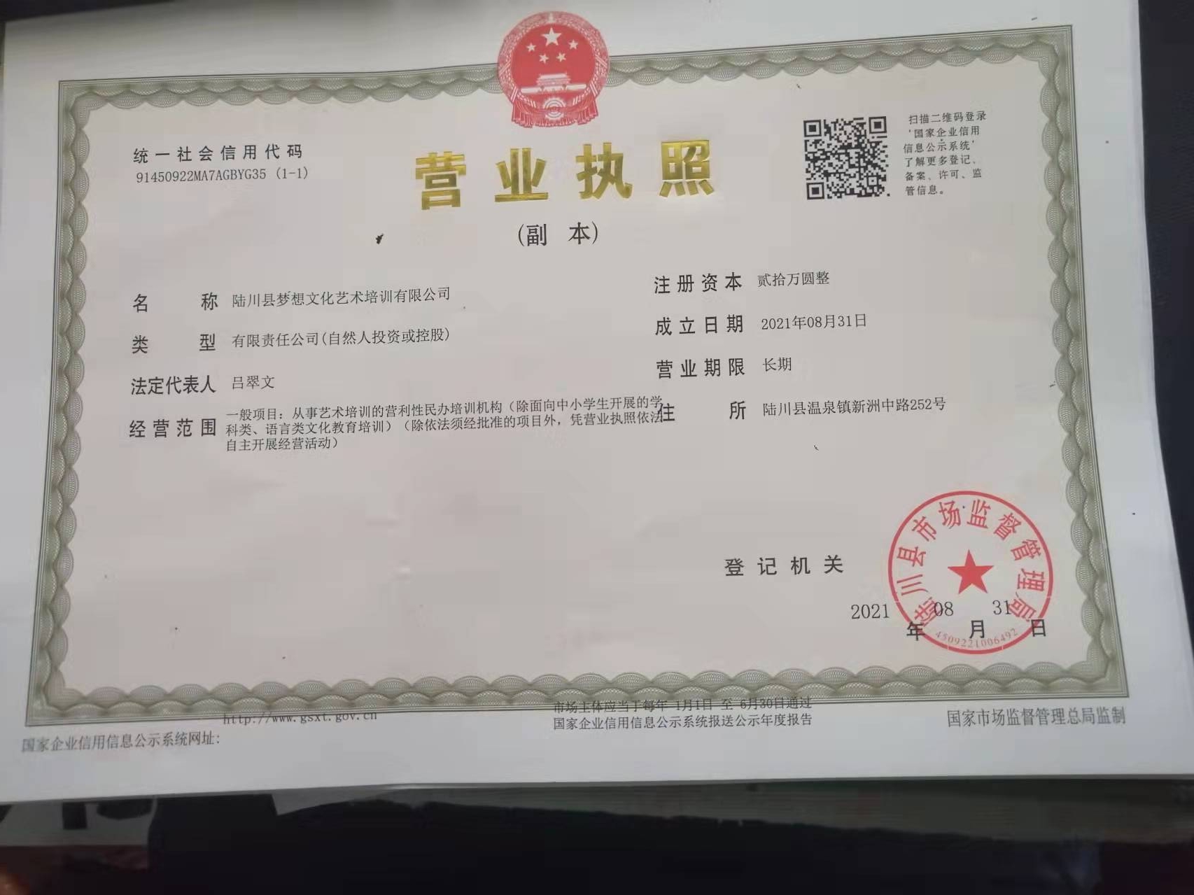 陆川县梦想文化艺术培训有限公司