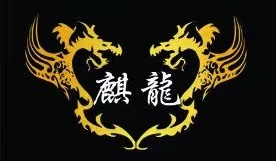 微山县麒龙跆拳道培训学校有限公司
