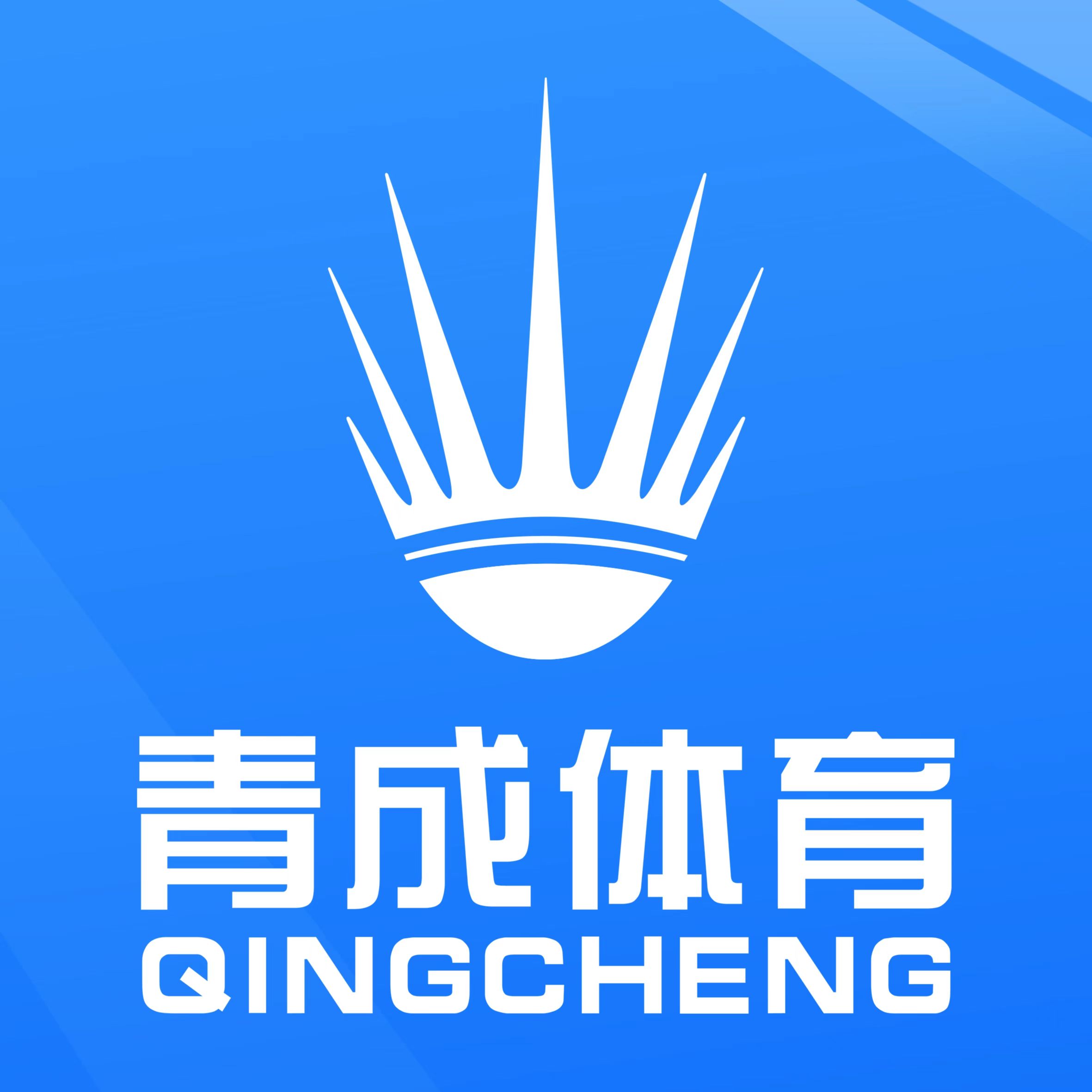 东阳青成体育培训有限公司