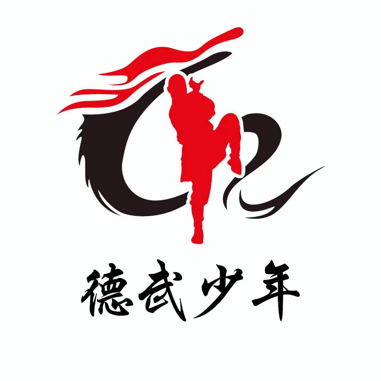 青铜峡市德武武术培训馆