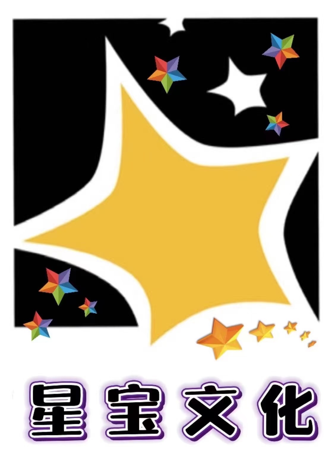 开远市星宝文化艺术培训学校有限公司
