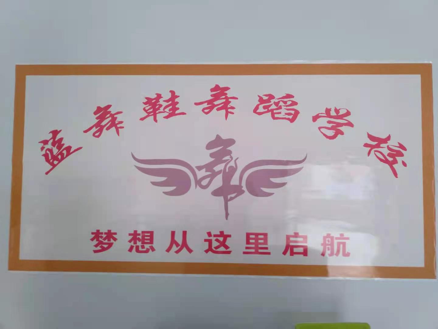 桃源县蓝舞鞋艺术培训学校有限公司