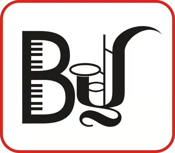 东莞市石龙博粤艺术培训中心有限公司