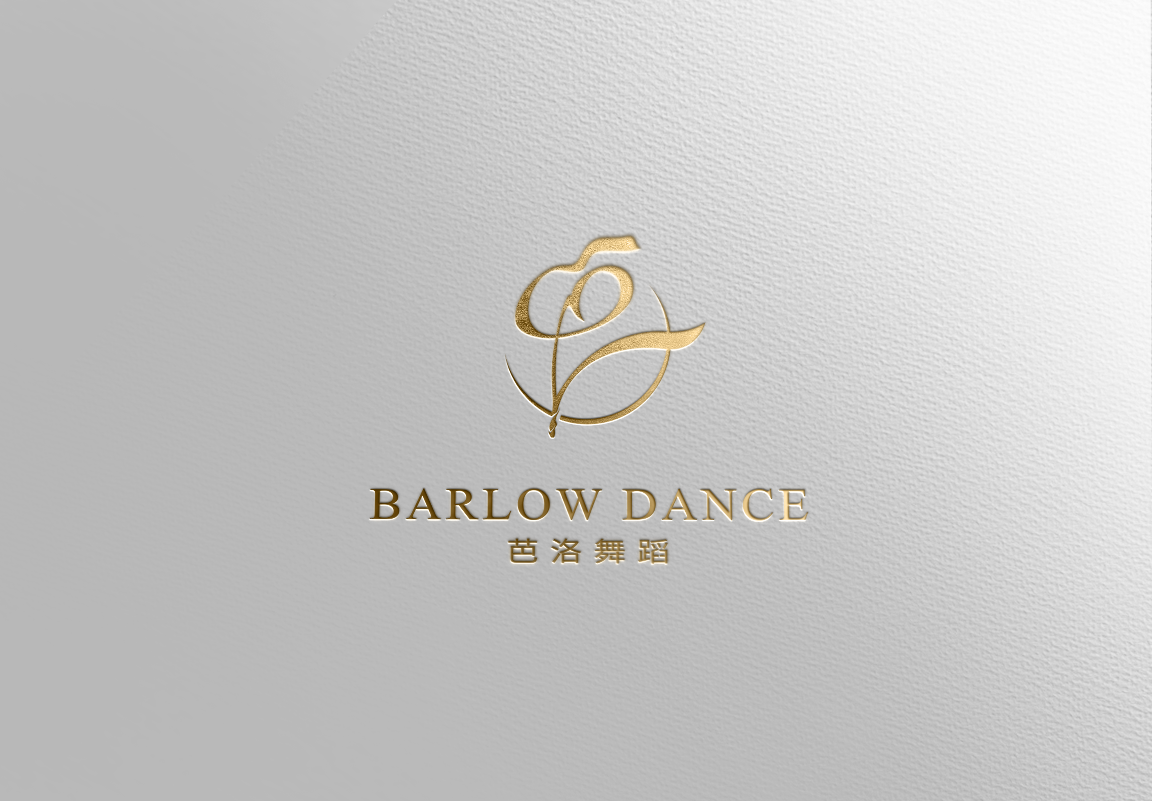 和平县芭洛文化传媒有限公司