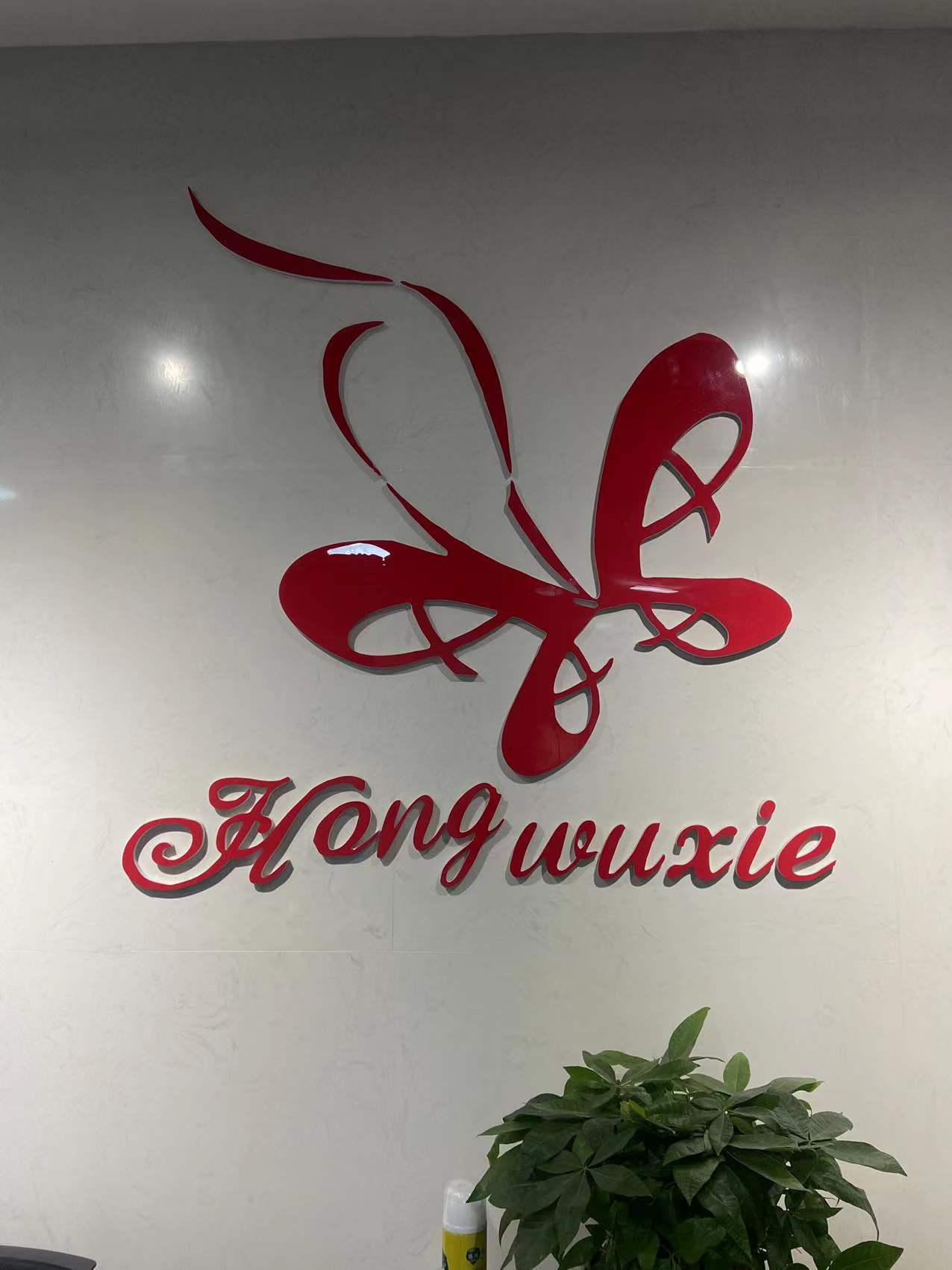 玉山县红舞鞋艺术培训中心有限公司