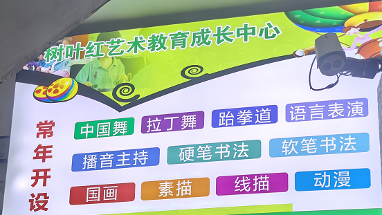 重庆市万州区树叶红艺术培训有限公司