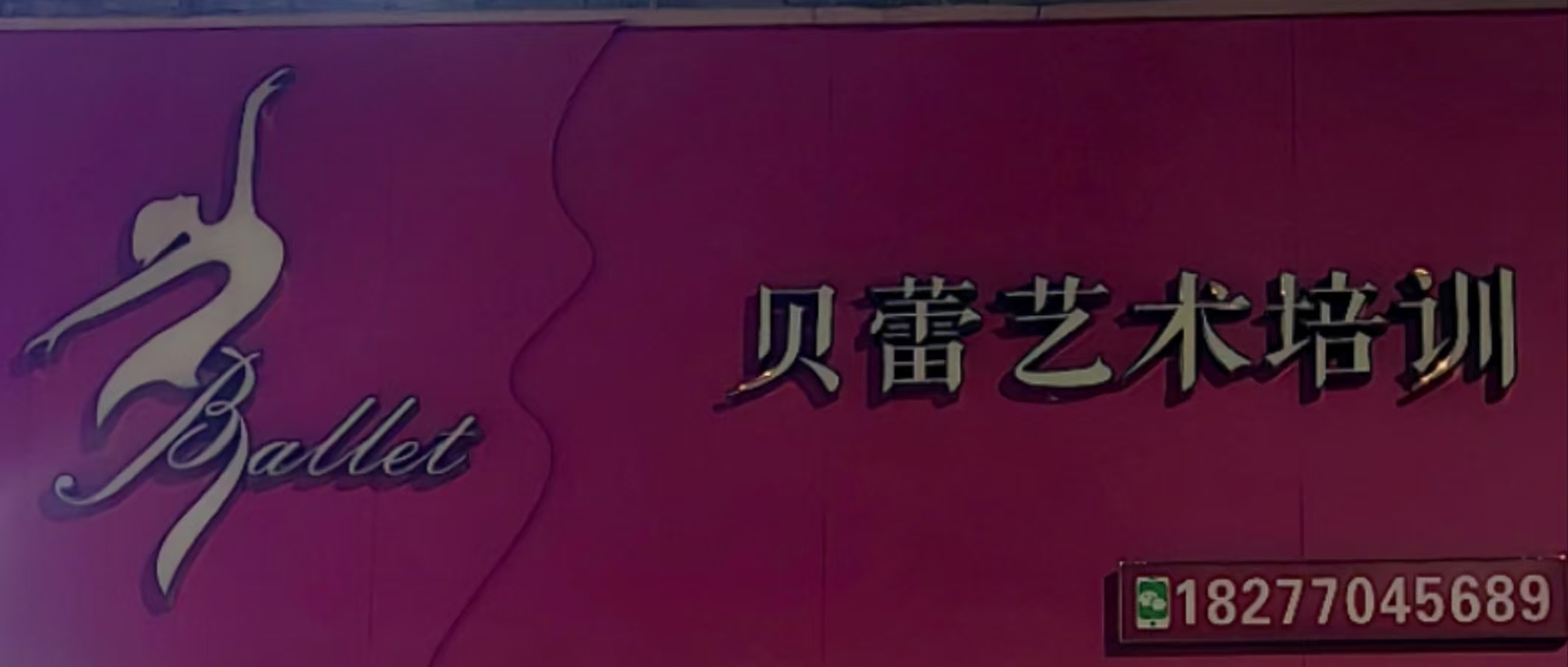 上思县贝蕾艺术培训有限公司