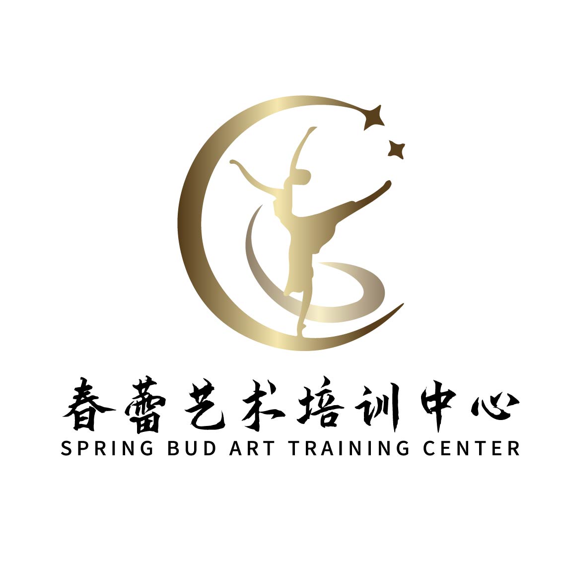 吴忠市红寺堡区春蕾艺术培训中心（有限公司）