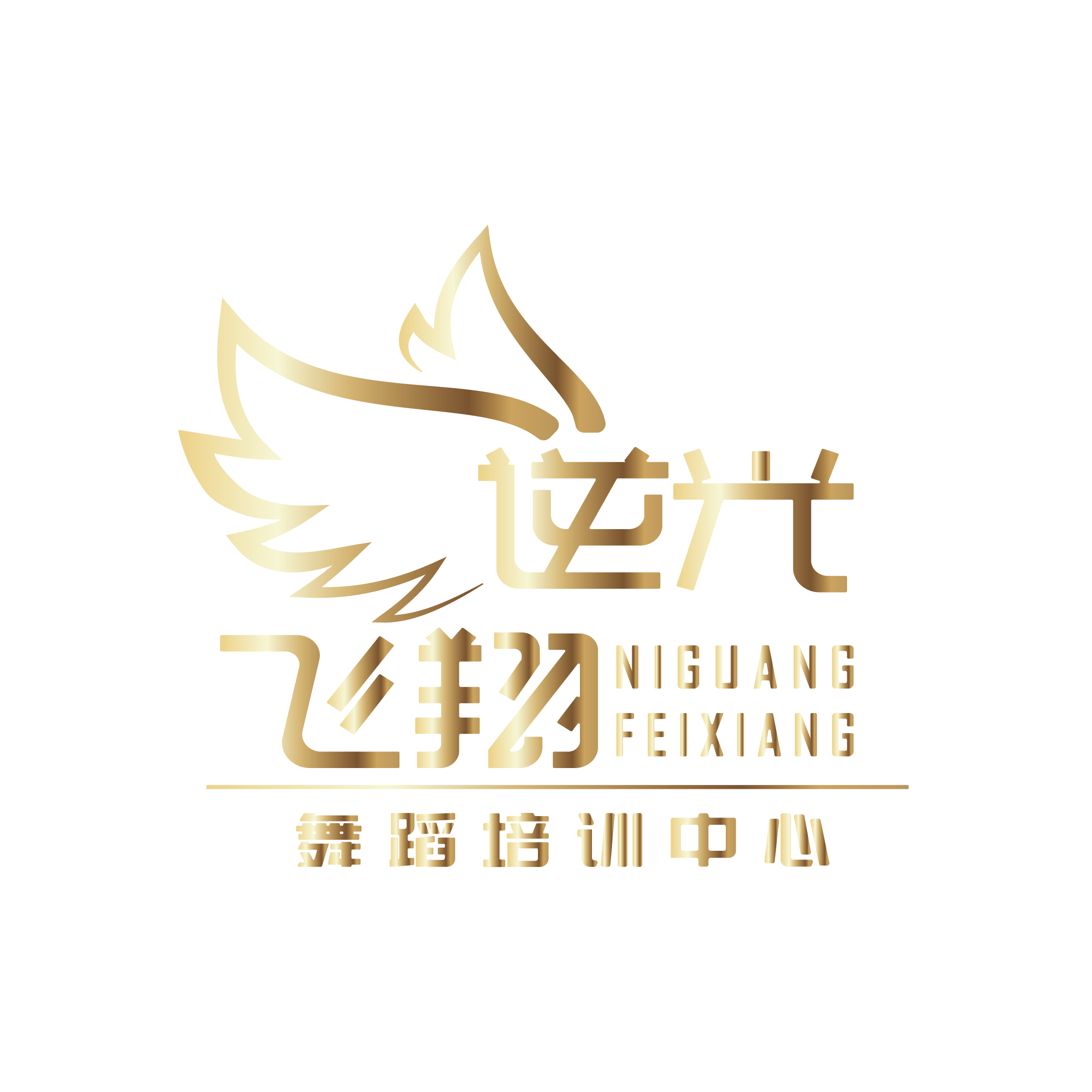 重庆市江津区逆光飞翔艺术培训有限公司