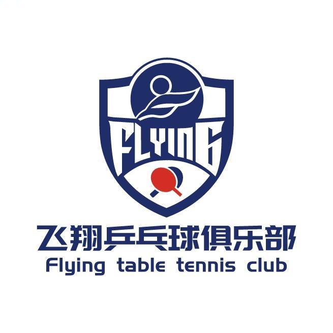 马鞍山市飞翔文化体育有限公司