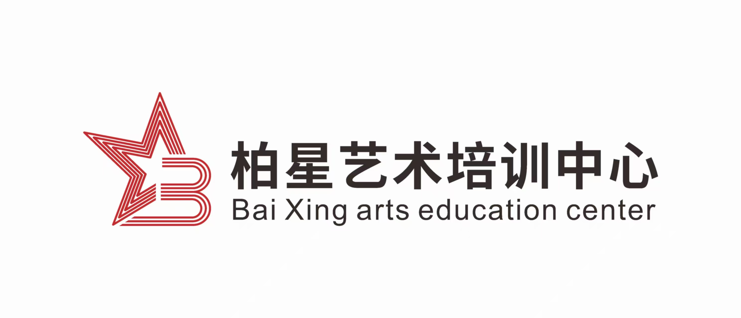 惠州市惠阳区柏星艺术培训有限公司