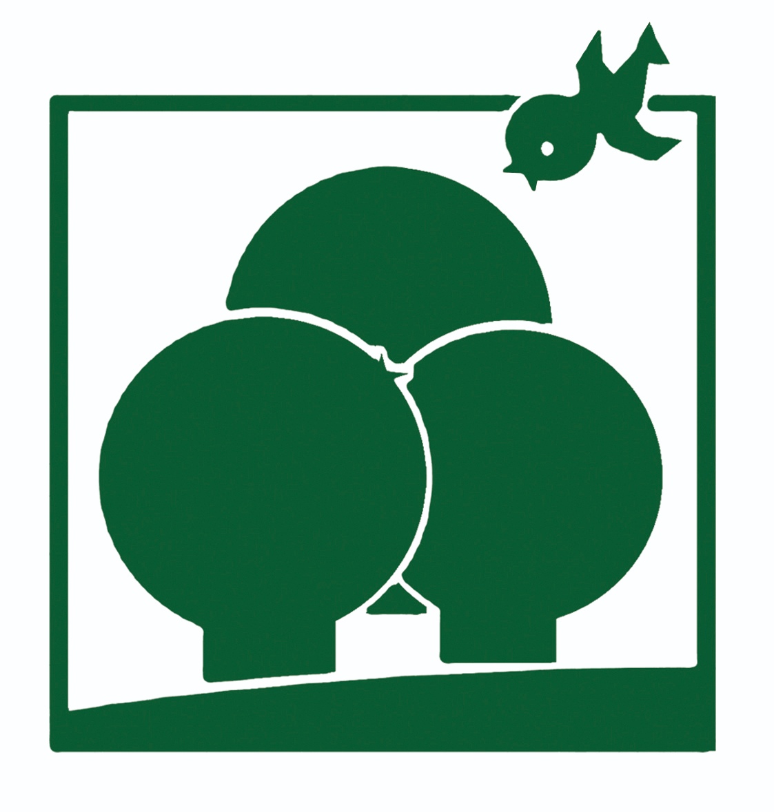 利辛县绿森林艺术培训有限公司