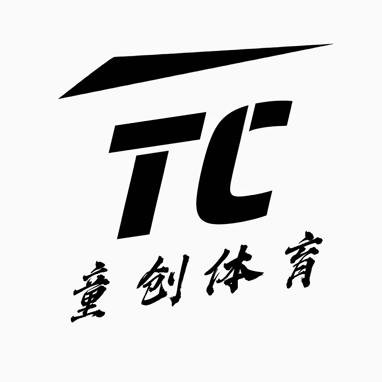 黄陵县童创体育培训有限公司