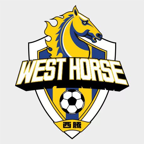 杭州西藤体育培训有限公司