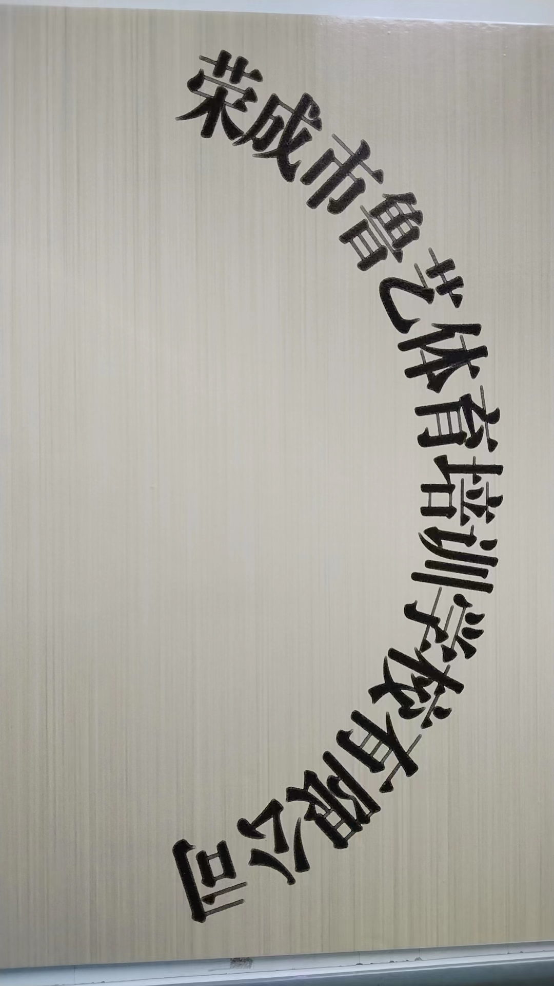 荣成市鲁艺体育培训学校有限公司