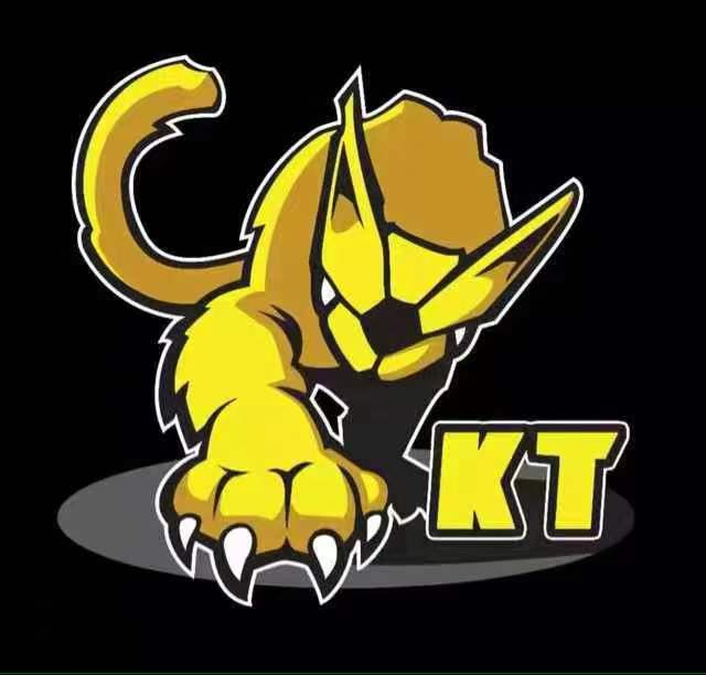 宁波奉化康宁体育文化科技有限公司