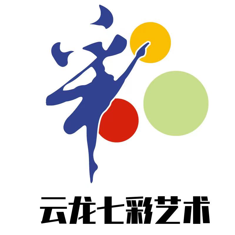 云龙县七彩艺术培训有限公司