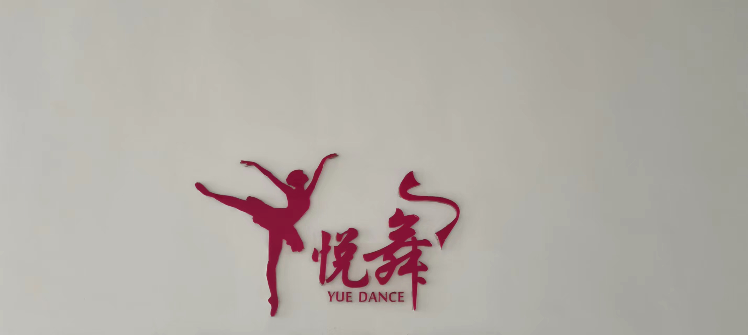 佛山市悦舞专业舞蹈培训有限公司