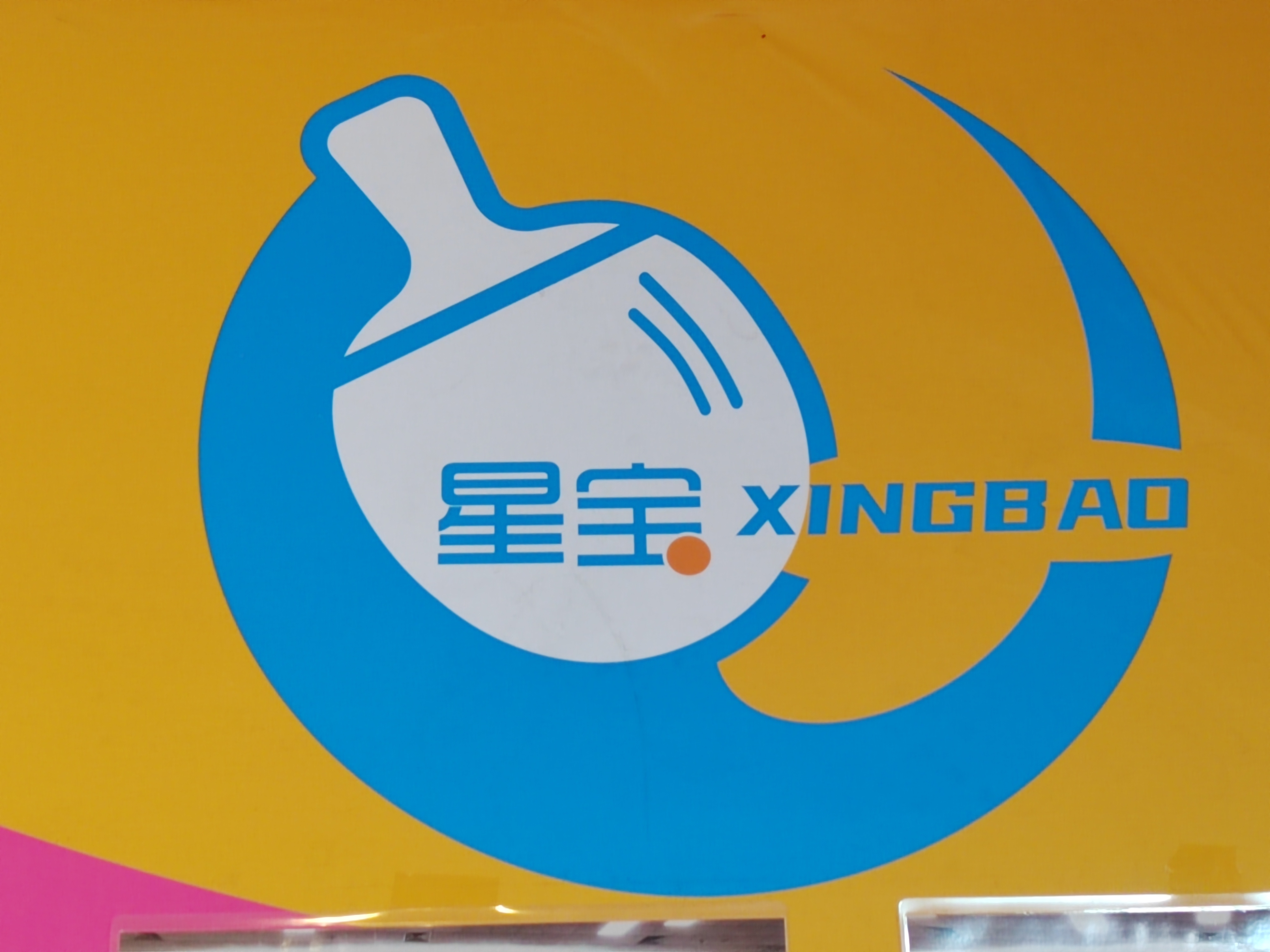 中山市鑫宝体育培训中心有限公司