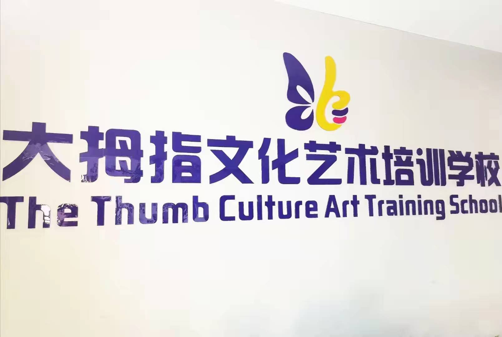 景谷大拇指文化艺术培训学校有限公司