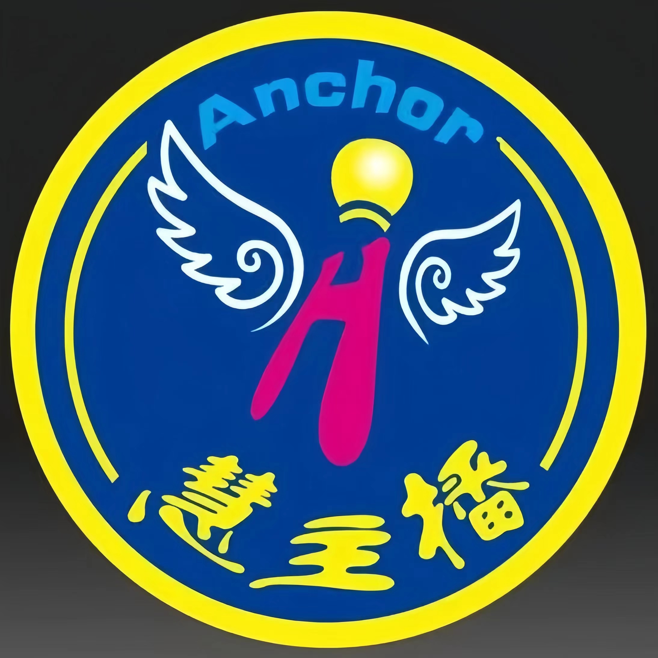 建湖县慧主播声乐培训有限公司