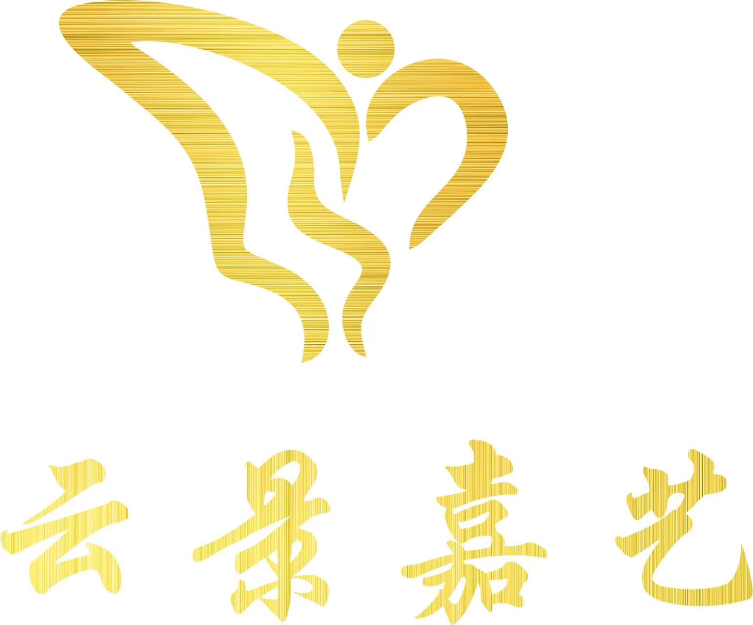 深圳市云景嘉艺教育培训中心有限公司